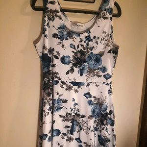 Tomsware Womens Skater Dress